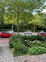 Schoterweg 164ZW | Haarlem | Foto 16