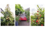 Generaal De Wetstraat 66 | Haarlem | Foto 21