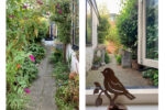 Generaal De Wetstraat 66 | Haarlem | Foto 23