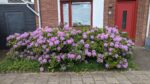 Anna Kaulbachstraat 50 | Haarlem | Foto 57