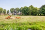 Sparenbergstraat 9 | Haarlem | Foto 46