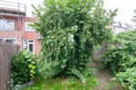 Atjehstraat 91 | Haarlem | Foto 21